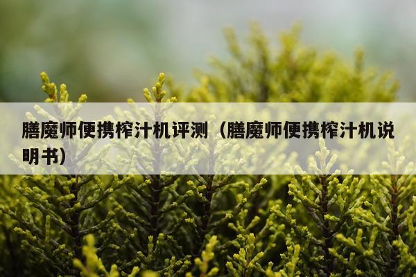 膳魔师便携榨汁机评测（膳魔师便携榨汁机说明书）