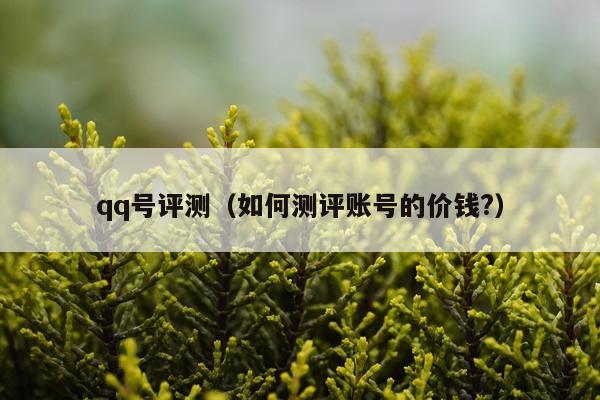 qq号评测（如何测评账号的价钱?）