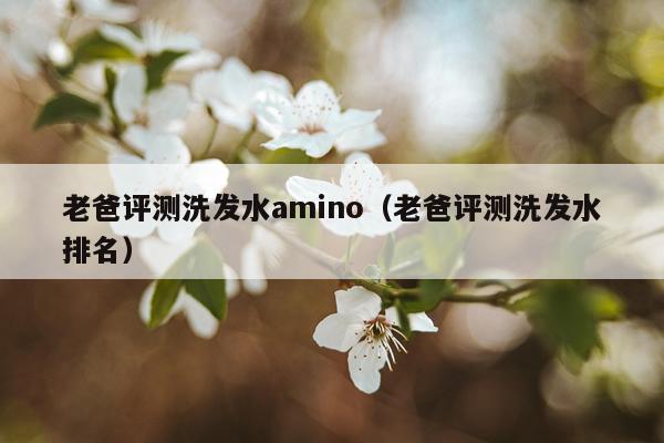 老爸评测洗发水amino（老爸评测洗发水排名）