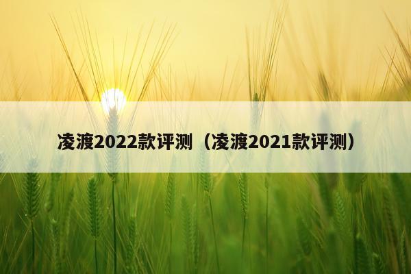 凌渡2022款评测（凌渡2021款评测）