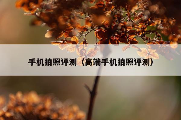 手机拍照评测（高端手机拍照评测）