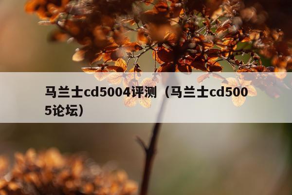 马兰士cd5004评测（马兰士cd5005论坛）
