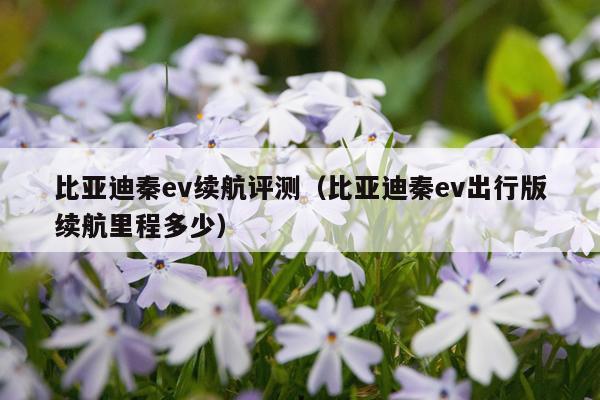比亚迪秦ev续航评测（比亚迪秦ev出行版续航里程多少）