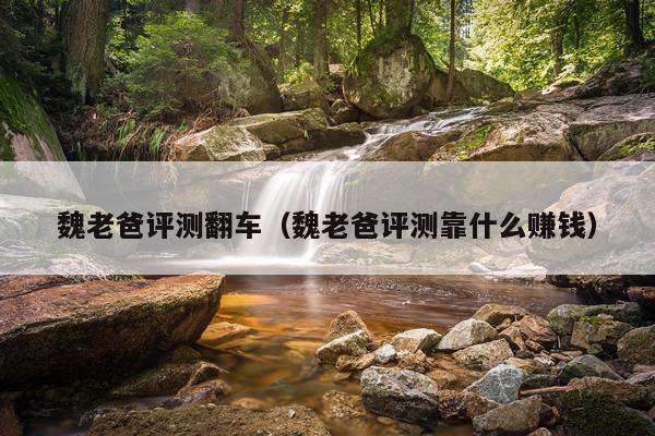 魏老爸评测翻车（魏老爸评测靠什么赚钱）