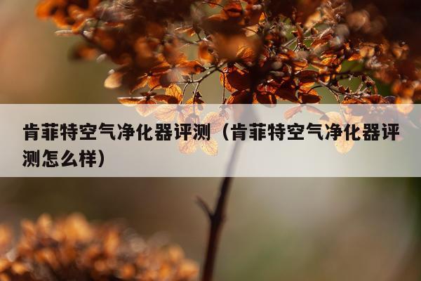 肯菲特空气净化器评测（肯菲特空气净化器评测怎么样）