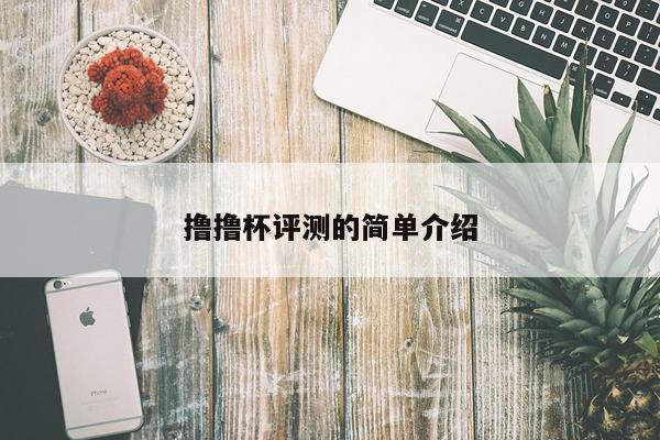 撸撸杯评测的简单介绍