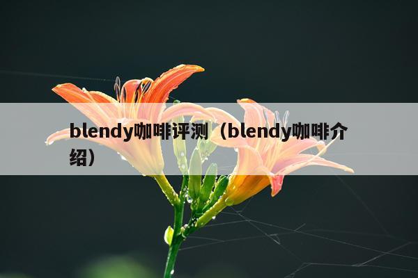 blendy咖啡评测（blendy咖啡介绍）