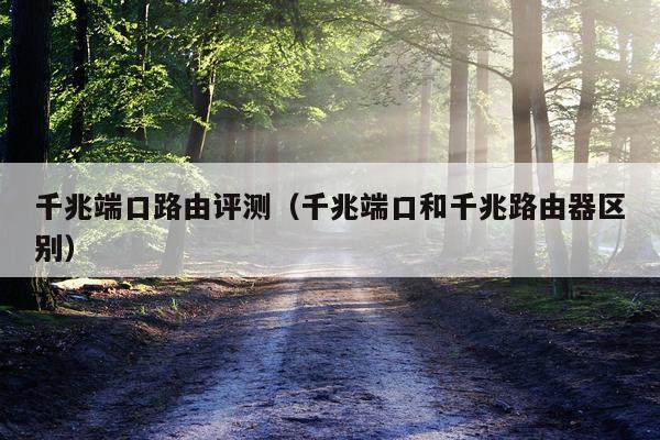 千兆端口路由评测（千兆端口和千兆路由器区别）