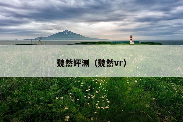 魏然评测（魏然vr）