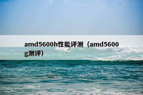 amd5600h性能评测（amd5600g测评）