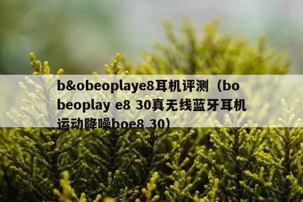 b&obeoplaye8耳机评测（bo beoplay e8 30真无线蓝牙耳机运动降噪boe8 30）