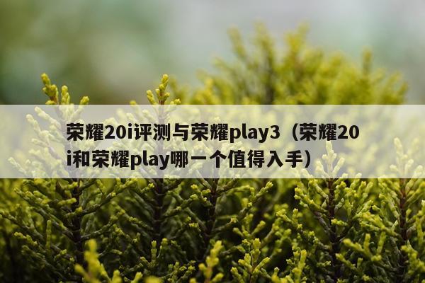 荣耀20i评测与荣耀play3（荣耀20i和荣耀play哪一个值得入手）