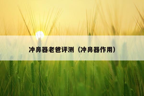 冲鼻器老爸评测（冲鼻器作用）
