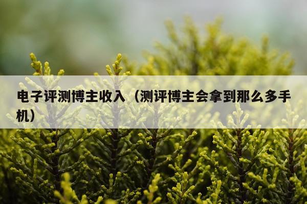 电子评测博主收入（测评博主会拿到那么多手机）