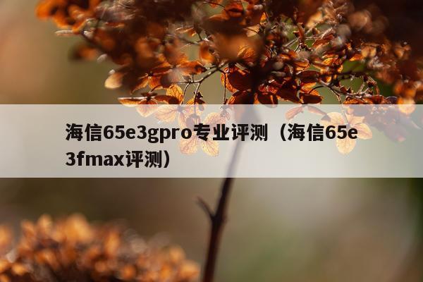 海信65e3gpro专业评测（海信65e3fmax评测）