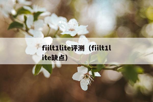 fiilt1lite评测（fiilt1lite缺点）