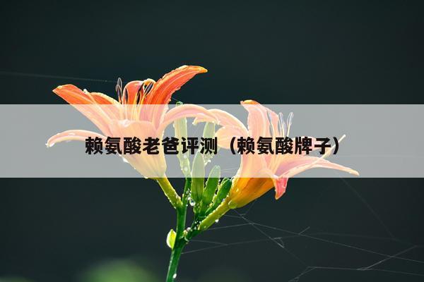 赖氨酸老爸评测（赖氨酸牌子）