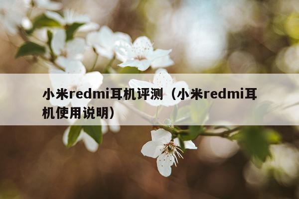 小米redmi耳机评测（小米redmi耳机使用说明）