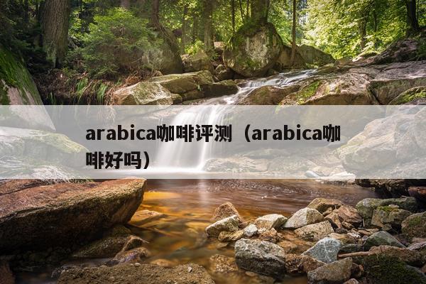arabica咖啡评测（arabica咖啡好吗）