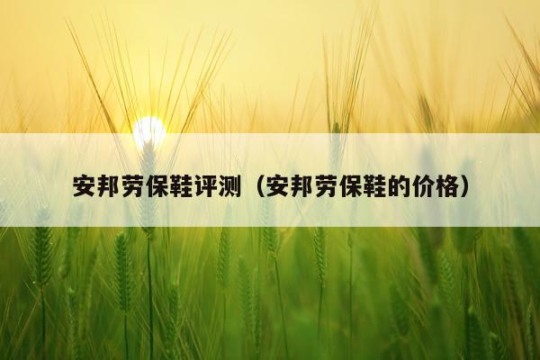 安邦劳保鞋评测（安邦劳保鞋的价格）
