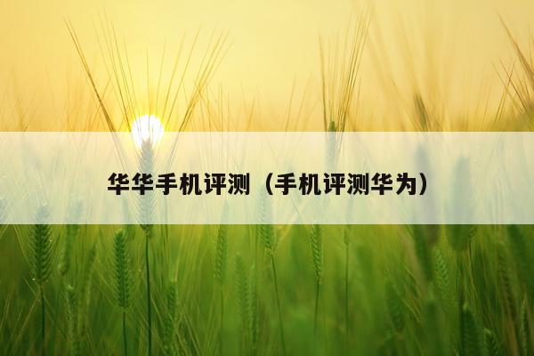 华华手机评测（手机评测华为）