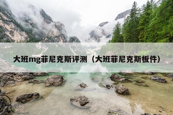 大班mg菲尼克斯评测（大班菲尼克斯板件）