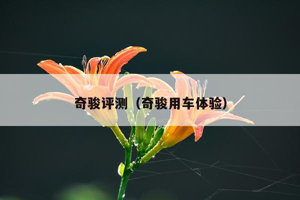 奇骏评测（奇骏用车体验）