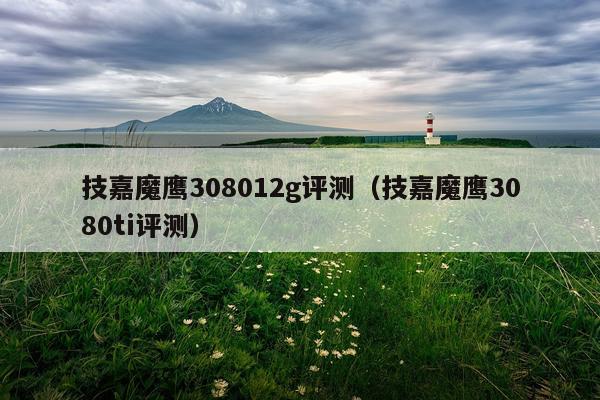 技嘉魔鹰308012g评测（技嘉魔鹰3080ti评测）