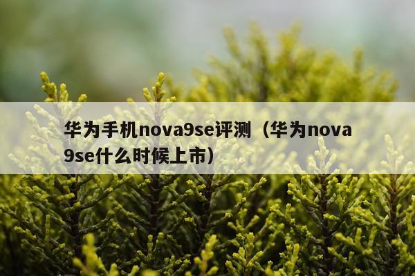 华为手机nova9se评测（华为nova9se什么时候上市）
