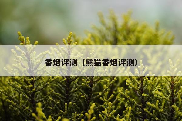 香烟评测（熊猫香烟评测）