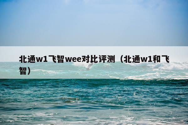 北通w1飞智wee对比评测（北通w1和飞智）