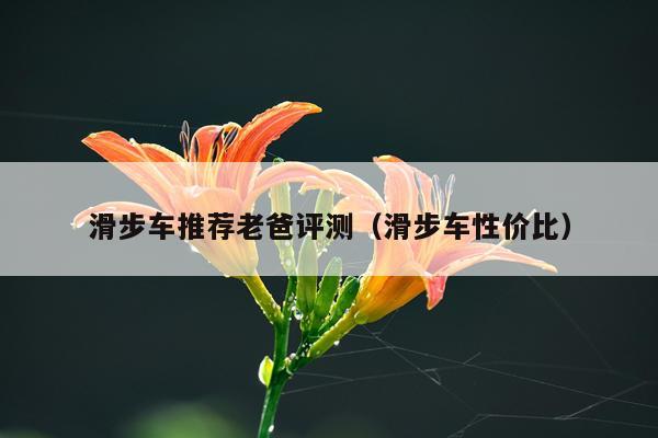 滑步车推荐老爸评测（滑步车性价比）