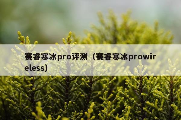 赛睿寒冰pro评测（赛睿寒冰prowireless）