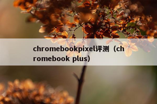 chromebookpixel评测（chromebook plus）