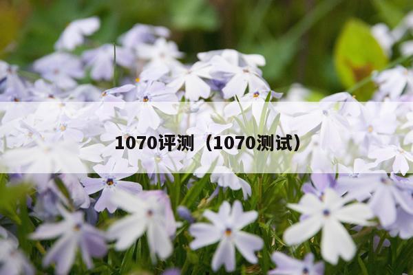 1070评测（1070测试）