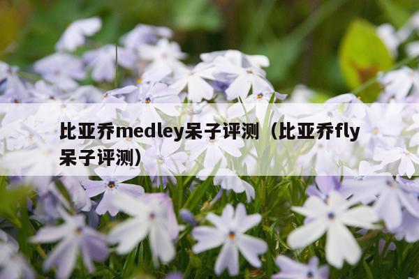 比亚乔medley呆子评测（比亚乔fly呆子评测）