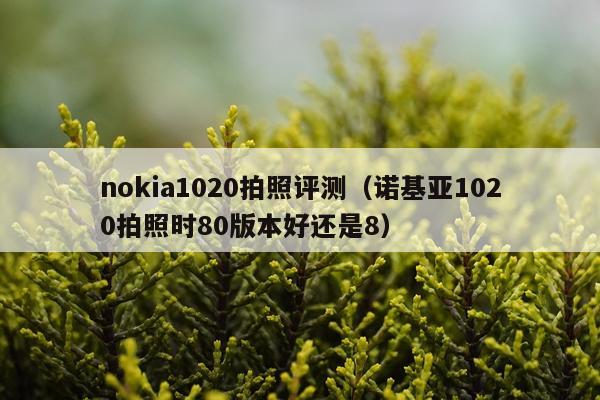 nokia1020拍照评测（诺基亚1020拍照时80版本好还是8）