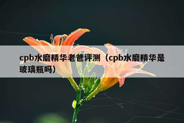 cpb水磨精华老爸评测（cpb水磨精华是玻璃瓶吗）