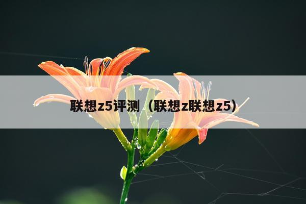 联想z5评测（联想z联想z5）