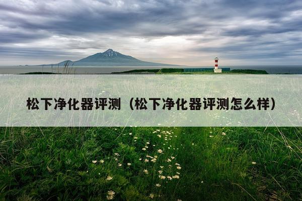 松下净化器评测（松下净化器评测怎么样）