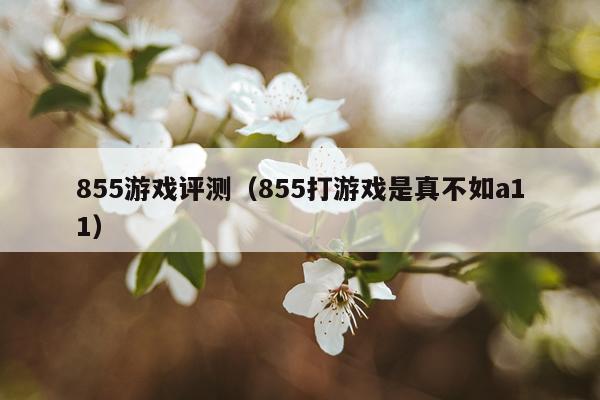 855游戏评测（855打游戏是真不如a11）