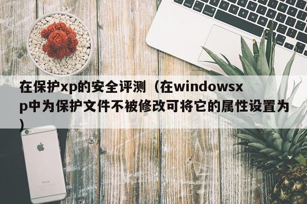 在保护xp的安全评测（在windowsxp中为保护文件不被修改可将它的属性设置为）