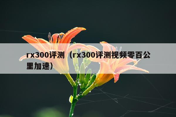 rx300评测（rx300评测视频零百公里加速）