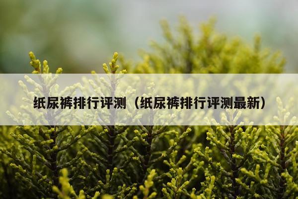 纸尿裤排行评测（纸尿裤排行评测最新）
