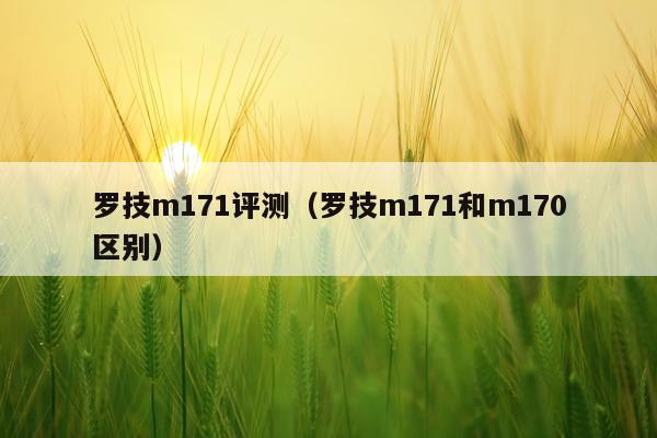 罗技m171评测（罗技m171和m170区别）