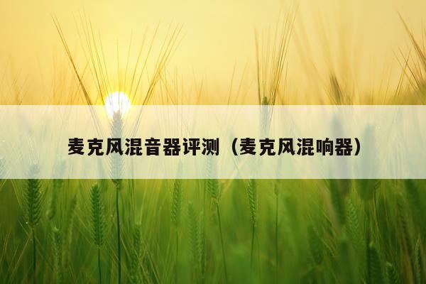 麦克风混音器评测（麦克风混响器）