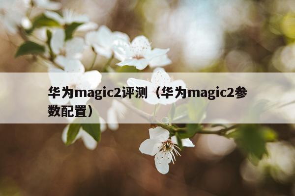 华为magic2评测（华为magic2参数配置）