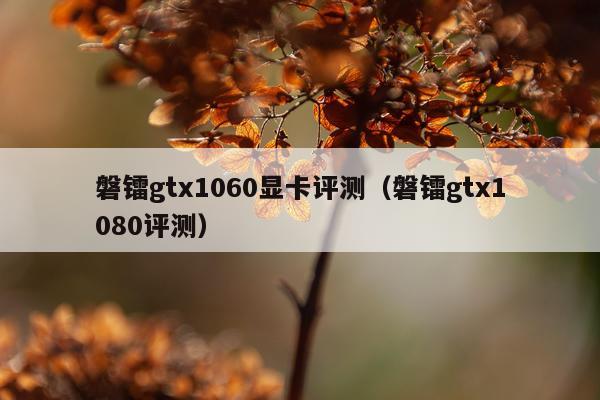 磐镭gtx1060显卡评测（磐镭gtx1080评测）