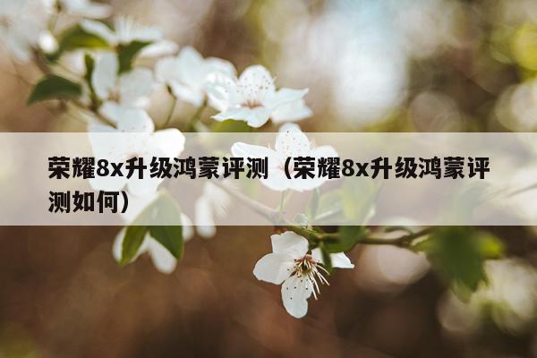 荣耀8x升级鸿蒙评测（荣耀8x升级鸿蒙评测如何）