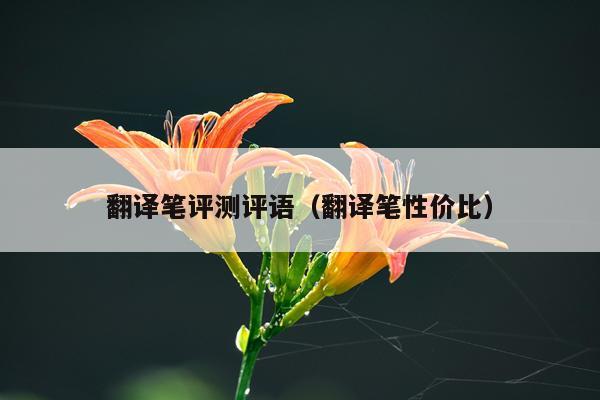 翻译笔评测评语（翻译笔性价比）